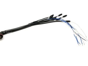 Cableado 22 pines MXx