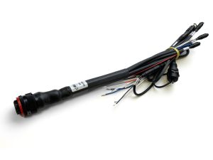 Cableado 37 pines EVO 5