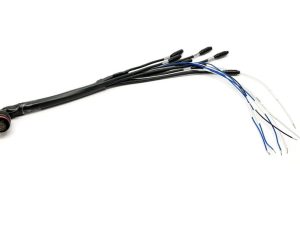 Cableado 22 pines MXx